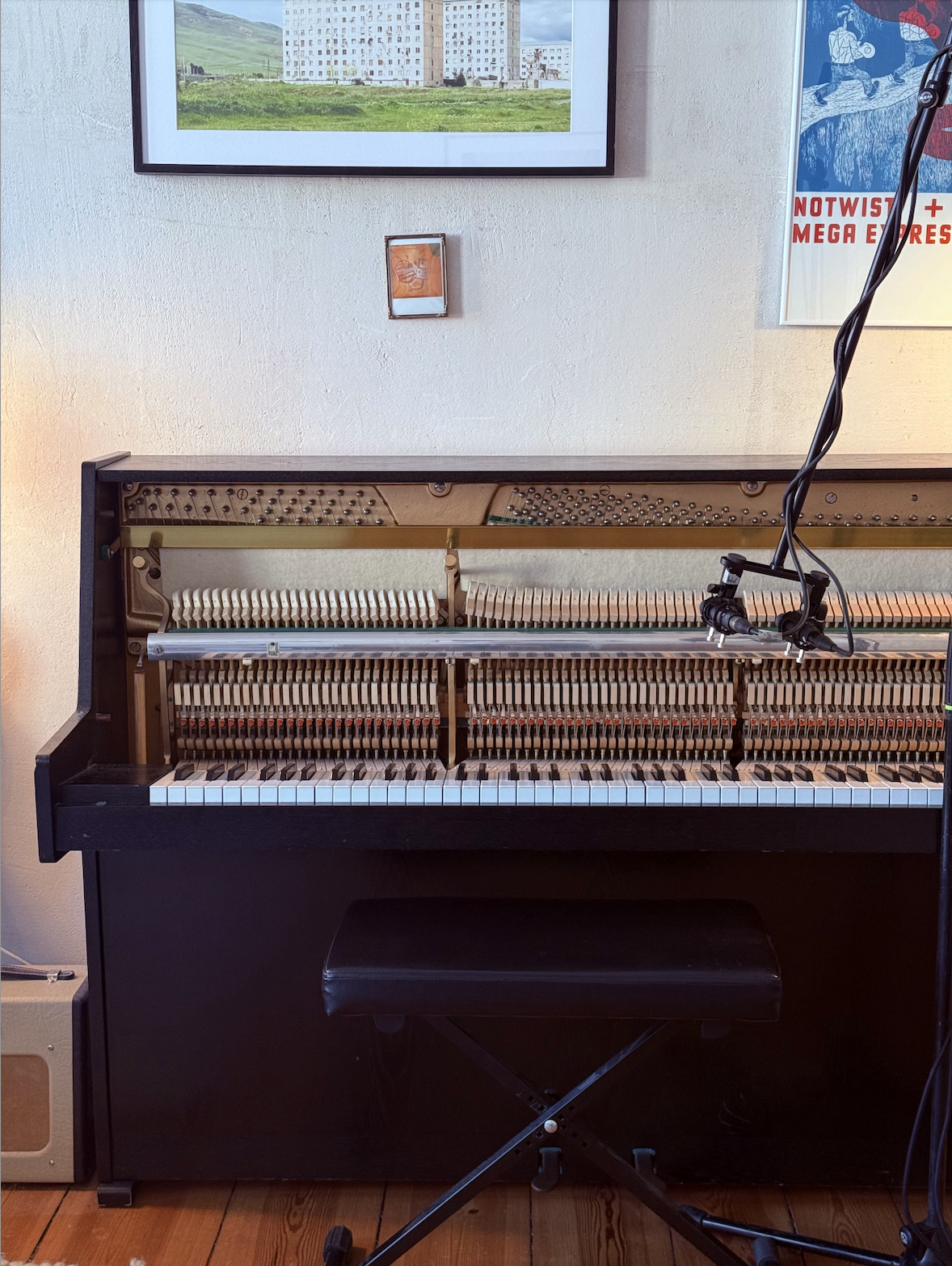 Portrait von Artist Name